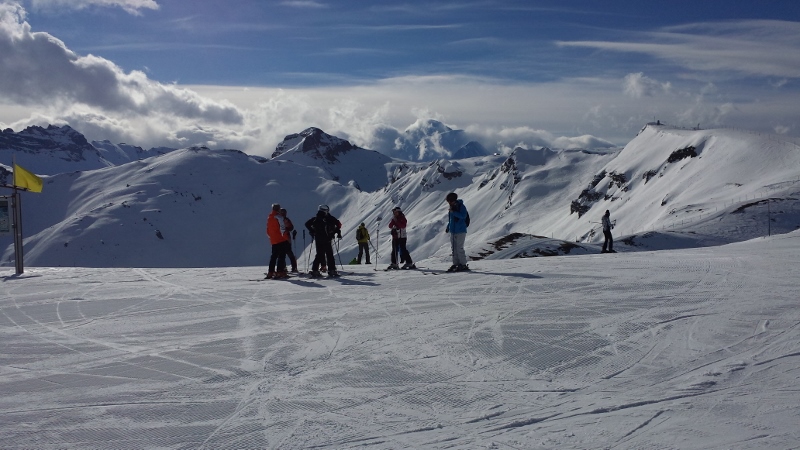 20150316_092505 (800x450)
