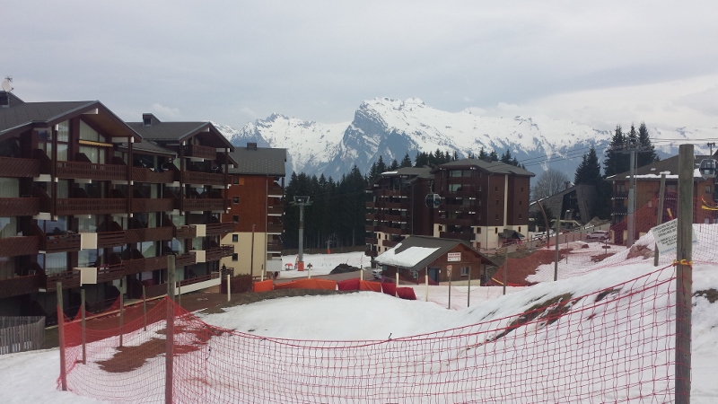 20150316_125811 (800x450)