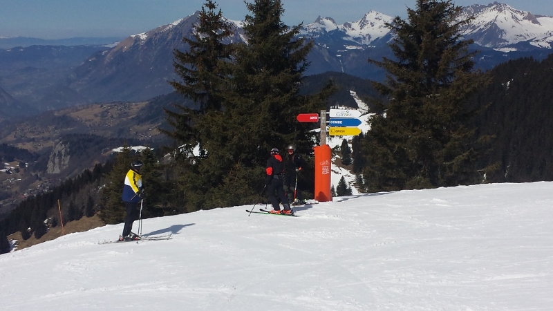 20150317_125202 (800x450)
