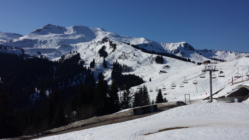 20150318_100157 (800x450)