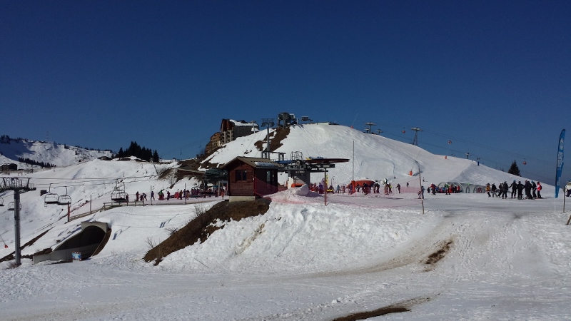 20150318_100221 (800x450)