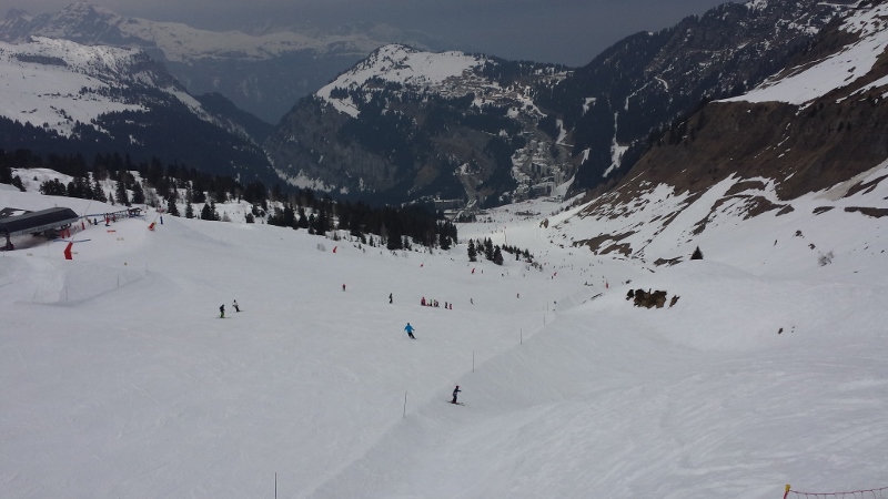20150320_110451 (800x450)