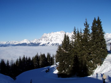2009 08 I_0513.jpg