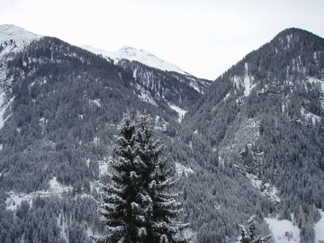 2009 19 I_0411.JPG