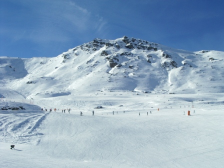IMGP2041